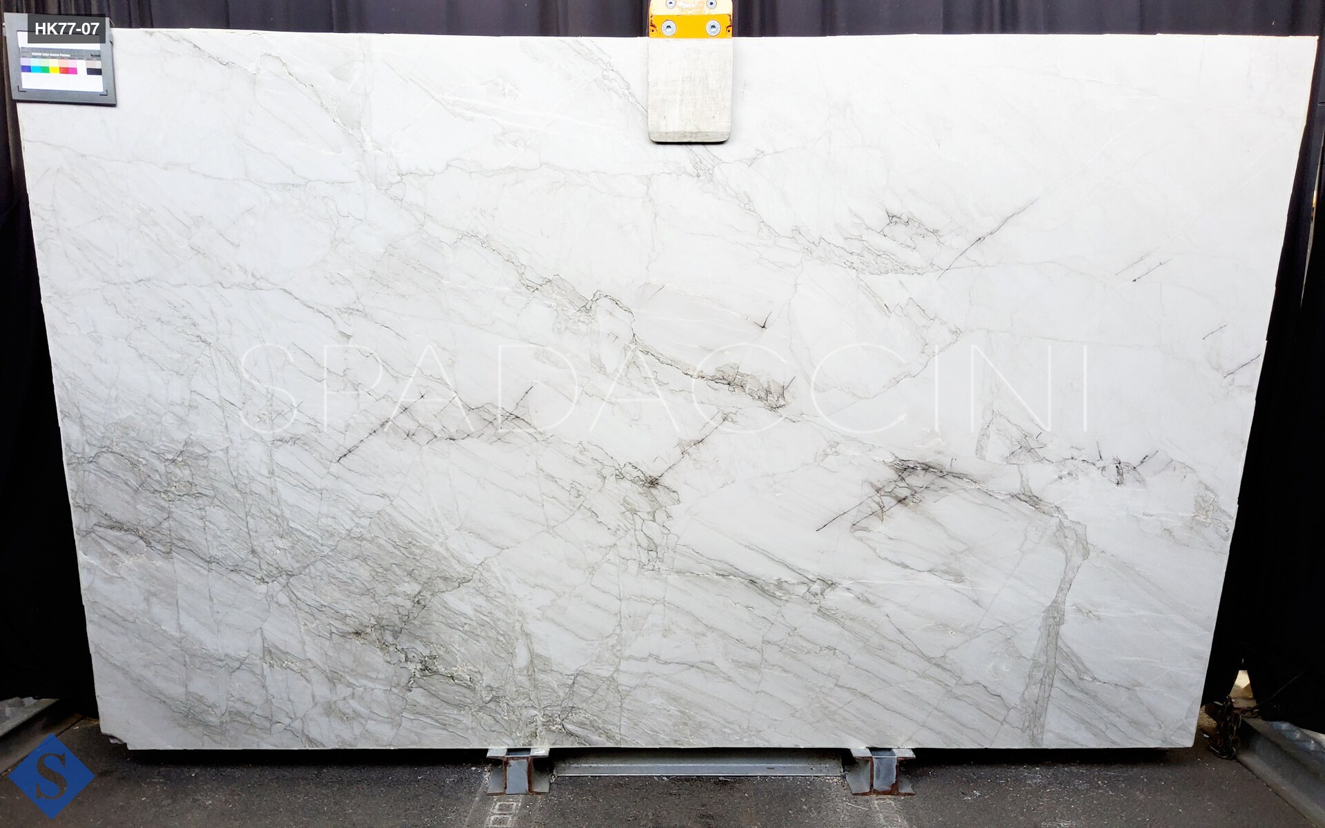 APOLLO WHITE